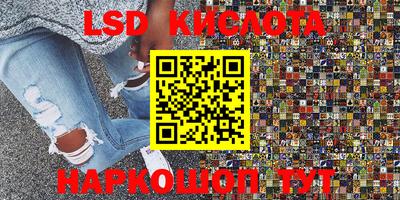 СК Ярославль