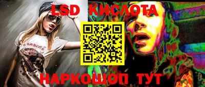 СК Ярославль