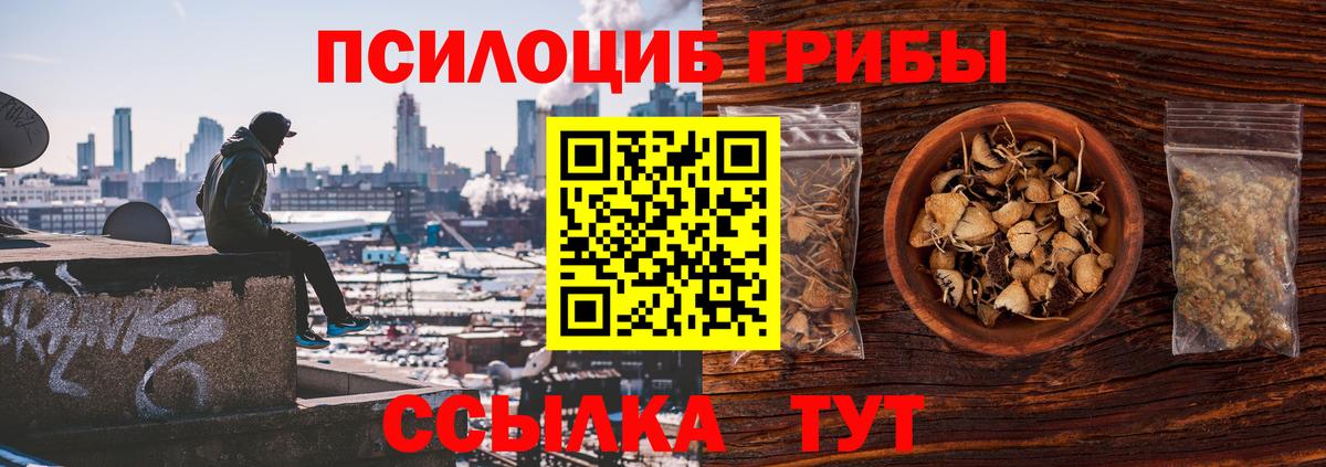 Псилоцибиновые грибы GOLDEN TEACHER Усинск